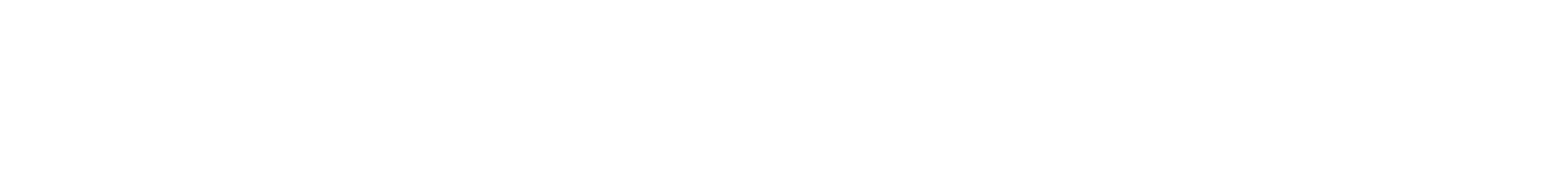 BitcoinRing Logo White